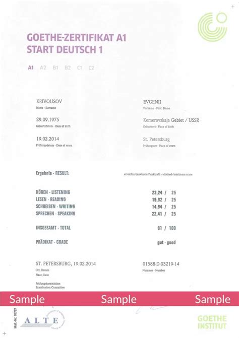 goethe results a1|Goethe.